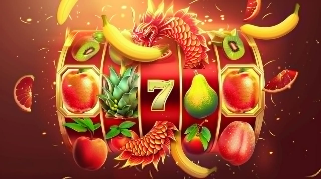537 bet