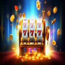 537 bet